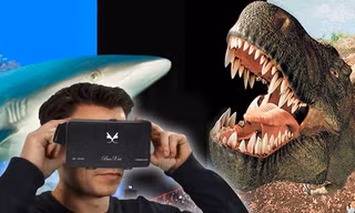 Ảnh minh họa: Internet