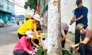 Không chỉ dọn rác, người dân còn trồng cây để tạo mảng xanh cho khu dân cư