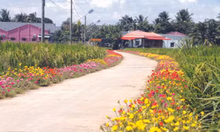 Một làng nông thôn mới ở Mỹ Tú, Sóc Trăng 