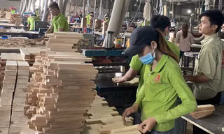 Nhiều DN ngành gỗ đang kêu cứu khi bị áp thuế vô lý từ mức 0% lên 25%. Ảnh: Bình Phương