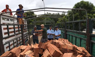 Gỗ nhập khẩu vào Việt Nam tập kết tại các cửa khẩu biên giới Ảnh minh họa: Tuấn Nguyễn 