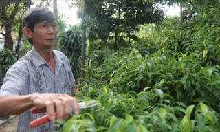 Ông Nguyễn Văn Côi tại diện tích đất khiếu kiện chính quyền đền bù không thỏa đáng. Ảnh: Nguyễn Thành 