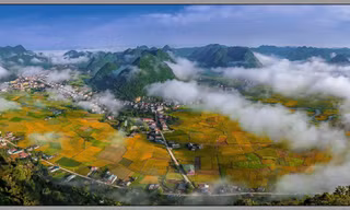 Mùa vàng Bắc Sơn. Ảnh: Doãn Tuấn 