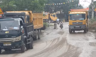 Xe tải hạng nặng tập kết ở chân đê, thôn Giáp Long, xã Thống Nhất 