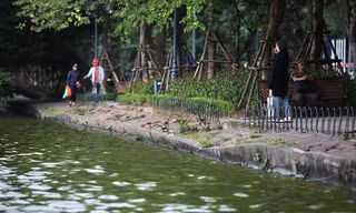 Giáo sư Hoàng Đạo Kính khuyến cáo việc cải tạo phải giữ được đường cong tự nhiên của bờ hồ Gươm Ảnh: Hoàng Mạnh Thắng