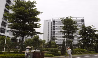 Một số quy định của Luật Kinh doanh bất động sản chồng chéo của luật khiến cả doanh nghiệp và người dân gặp nhiều vướng mắc Ảnh: Như Ý