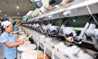 Mỗi tháng có hơn 10.000 doanh nghiệp thành lập mới