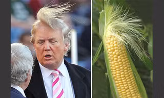 Mái tóc “kỳ quặc” của ông Donald Trump