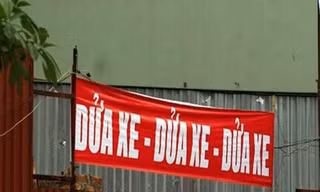 Minh họa: Ðỗ Ðức 