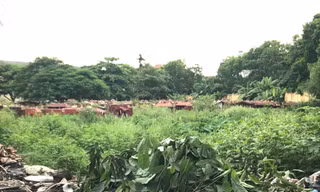Khu đất nghĩa trang với hàng nghìn ngôi mộ ở khu Tây Nam Linh Đàm (phường Hoàng Liệt, Hoàng Mai) trước đây được quy hoạch dự án trường học