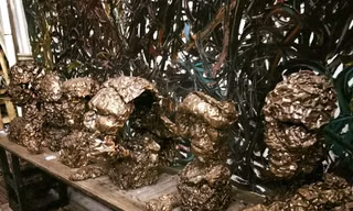 Từ khu nhà phế liệu ở Phan Xích Long, quận Phú Nhuận, TP.HCM được họa sĩ Nguyễn Quốc Dân thuê lại và biến thành một nơi có không gian sống nghệ thuật.