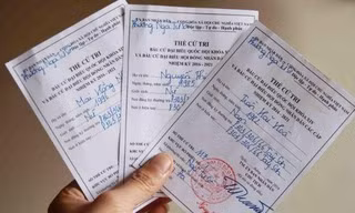 Lần đầu đi bầu, cử tri trẻ cần lưu ý gì để thực hiện đúng quy trình bỏ phiếu bầu cử?