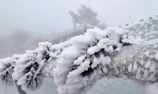 Tuyết rơi, băng giá phủ trắng nóc nhà Đông Dương 