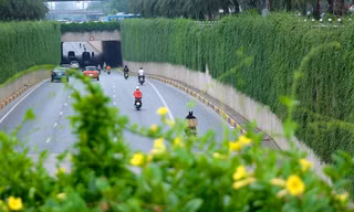 Mãn nhãn với bức tường của hầm chui được phủ kín cây xanh ở Hà Nội những ngày oi bức