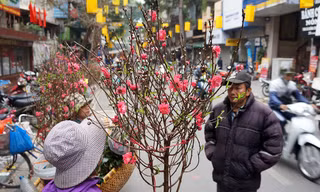 Chợ hoa cổ nhất Hà Thành nhộn nhịp ngày đầu mở cửa