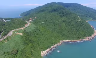 Bán đảo Sơn Trà có gì đặc biệt mà ai cũng muốn ghé thăm?