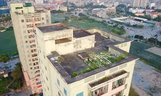 Sân thượng trồng rau, tầng một chứa rác ở khu tái định cư Nam Trung Yên