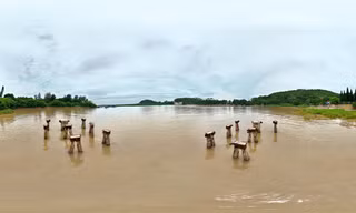 Khám phá di tích quốc gia huyền thoại - Bến tàu không số Hải Phòng