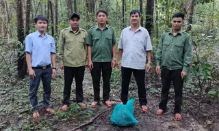 Lực lượng chức năng đã thả cá thể trăn đất về với tự nhiên