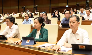 Quốc hội đồng ý cho Đà Nẵng lập khu thương mại tự do