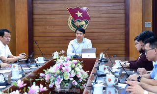 Yêu cầu báo cáo chính xác, kịp thời hoạt động Thanh niên tình nguyện Hè