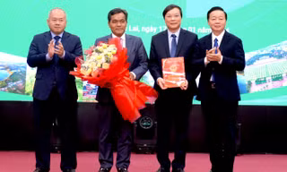 Gia Lai cần quan tâm đến quy hoạch, có giải pháp phát triển