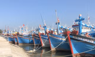 Dự kiến, Đoàn Thanh tra của EC sẽ trở lại kiểm tra về nỗ lực khắc phục thẻ vàng IUU của Việt Nam trong tháng 5 tới.