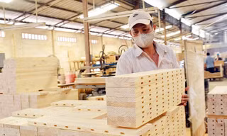 Ngành Lâm nghiệp đặt mục tiêu xuất khẩu 12 tỷ USD trở lên trong năm 2020