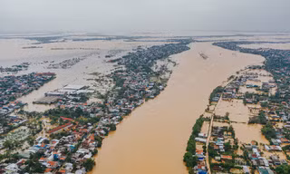 Mưa lũ đang hoành hành các tỉnh miền Trung, hiện đã có 32 người chết, mất tích gần 110 nghìn ngôi nhà bị ngập, hư hỏng.