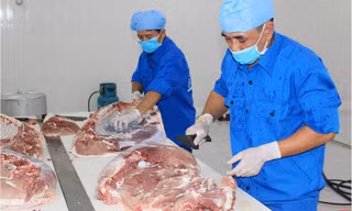 HTX Hoàng Long đang cung cấp loại thịt mát và nhiều sản phẩm chế biến ra thị trường với thương hiệu A-Z.