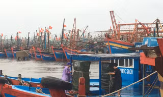 Phó Thủ tướng Trịnh Đình Dũng yêu cầu các đia phương không được chủ quan, chủ động ứng phó với áp thấp nhiệt đới khả năng mạnh thành bão, gây mưa lớn diện rộng.