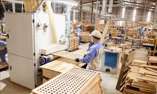 Xuất khẩu gỗ năm 2020 có thể cán đích 13 tỷ USD