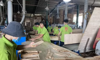 Bộ NN&PTNT cho rằng, việc Tổng cục Hải quan áp dụng mã hàng hóa của ván ghép thanh theo mã HS 4407 là không phù hợp với Thông tư 65 cũng như ý kiến của Bộ Tài chính tại Văn bản số 9365/BTC ngày 01/7/2009