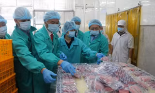 Hiệp định EVFTA là cơ hội để Việt Nam tăng xuất khẩu cá ngừ vào EU
