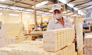 Các hiệp hội ngành gỗ trong nước cùng cam kết không sử dụng nguồn gỗ bất hợp pháp, tăng sử dụng nguồn gỗ từ rừng trồng trong nước