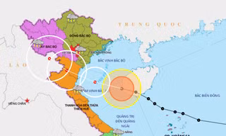 Theo dự báo, khoảng chiều mai 2/8, bão sẽ đi vào đất liền các tỉnh từ Thái Bình đến Nghệ An.
