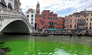 Vệt nước màu xanh lá trên kênh đào Grand ở Venice. (Ảnh: AP)