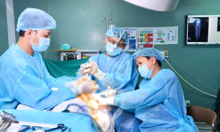 Nữ Việt kiều đi nửa vòng trái đất về nước điều trị hội chứng hiếm gặp