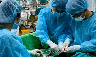 Bác sĩ Việt Nam cứu du khách Úc thoát 'cửa tử'
