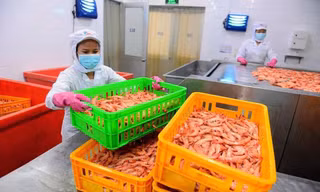 Lao động nghỉ việc hưởng trợ cấp thất nghiệp tăng