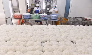 Thực hư bún tươi chứa formol