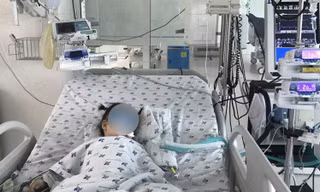 Bé gái 2 tuổi bị dây ba lô siết cổ ở nhà trẻ