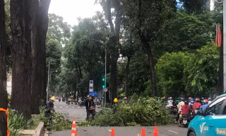 Cắt tỉa cây xanh gây tắc đường, đơn vị thi công nói gì?
