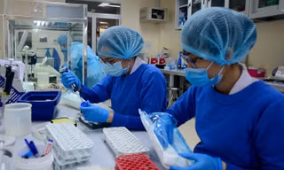 TPHCM cảnh báo những dịch bệnh nguy hiểm trong năm 2023