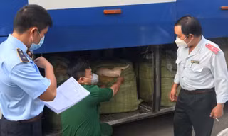 TPHCM: Cán bộ thú y tiếp tay đưa thịt heo bẩn ra thị trường