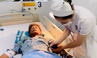 Bị đàn ong mật tấn công, người đàn ông sốc phản vệ