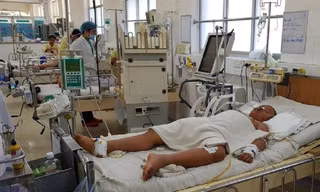 Sốt xuất huyết tăng vọt, gần 10.000 người tại TPHCM mắc bệnh