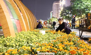 Thâu đêm thi công đường hoa Nguyễn Huệ phục vụ tết Nguyên đán