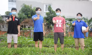 Vườn rau sẻ chia của 4 chàng trai xứ Nghệ giữa thành phố Thủ Đức 