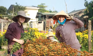 Vào vựa hoa lớn nhất Quảng Ngãi ngày cận Tết